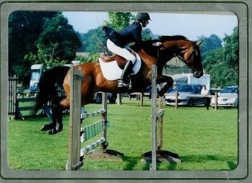 Horse jumping